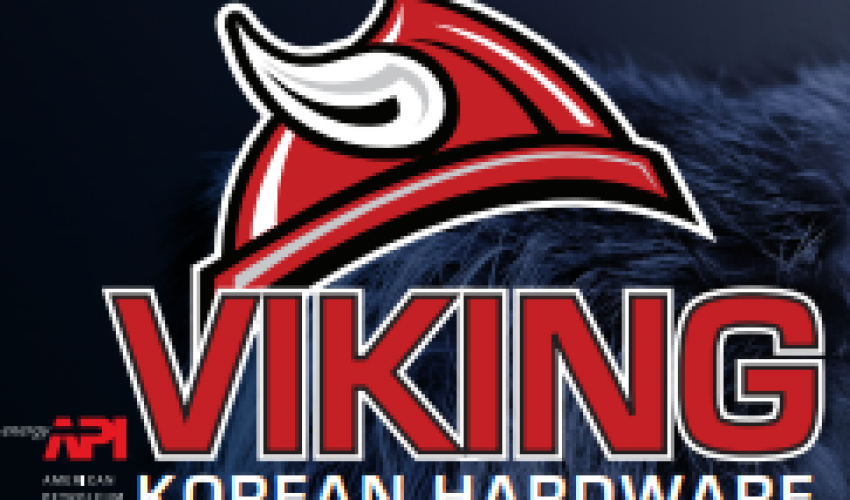 viking-logo